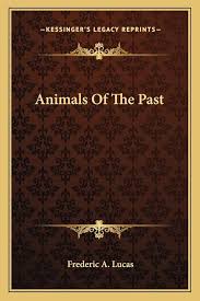 Animals of the Past